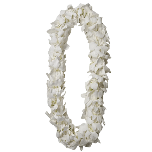 Double white dendrobium orchid lei for graduation, full floral lei necklace in Phoenix