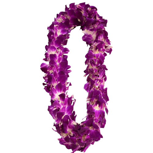 Double purple dendrobium orchid lei for graduation, full floral lei necklace in Phoenix