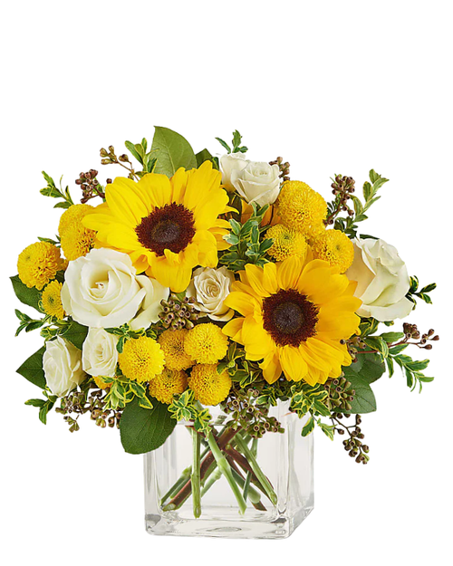 Yellow Belle sunflower arrangement with white roses and seeded eucalyptus in cube vase, gift flowers in Phoenix Arizona