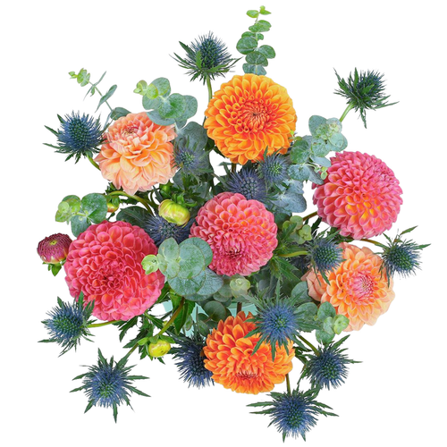 Dahlia Bloomfire bouquet with pink and orange dahlias, thistle, and eucalyptus – Arizona Flower Market Phoenix AZ