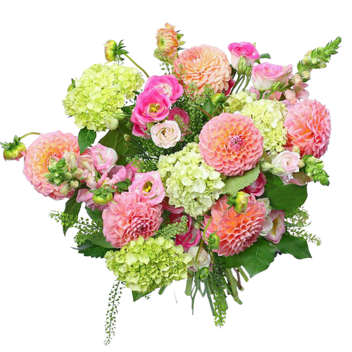 Blushing Dahlia bouquet with peach dahlias, pink lisianthus, snapdragons, green hydrangea, and penny cress – Arizona Flower Market Phoenix AZ
