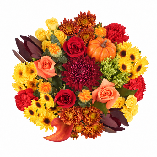 Sweater Weather bouquet with roses, yellow daisies, bronze mums, and a pumpkin pick at Arizona Flower Market in Phoenix.