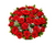red roses, 24 red roses, farm fresh roses, love bouquet, romantic flowers, anniversary roses, fresh roses, luxury roses, bouquet of roses, express love