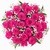 Double The Roses, Double The Love (24 Roses)(Available in more colors)