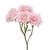 Light Pink Spray Rose Stems – Bulk Mini Roses – Phoenix Arizona