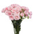 Light Pink Spray Rose Stems – Bulk Mini Roses – Phoenix Arizona