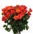 Orange Spray Rose Stems – Bulk Mini Roses – Phoenix Arizona
