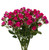 Hot Pink Spray Rose Stems – Bulk Mini Roses – Phoenix Arizona