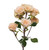 Cream Spray Rose Stems – Bulk Mini Roses – Phoenix Arizona