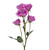 Lavender Spray Rose Stems – Bulk Mini Roses – Phoenix Arizona