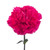 Close-up of bright hot pink carnation flowers with ruffled petals and sturdy green stems.
