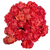 Close-up of bright orange carnation flowers with ruffled petals and sturdy green stems.