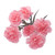 Light Pink Mini Carnation