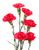 Hot Pink Mini Carnation – Bulk Flower – Phoenix Arizona