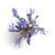 Purple Agapanthus – Bulk Flower – Phoenix Arizona