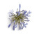 Blue Agapanthus – Bulk Flower – Phoenix Arizona