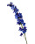 Dark Blue Delphinium
