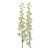 White Delphinium – Bulk Flower – Phoenix Arizona