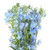 Light Blue Delphinium