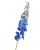 Dark Blue Hybrid Delphinium