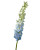 Light Blue Hybrid Delphinium – Bulk Flower – Phoenix Arizona