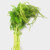 Green Hanging Amaranthus