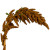 Bronze Upright Amaranthus