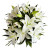 White Oriental Lily – Bulk Flower – Phoenix Arizona