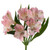 Light Pink Alstroemeria – Bulk Peruvian Lilies – Phoenix Arizona
