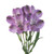 Lavender Alstroemeria – Bulk Flower – Phoenix Arizona