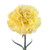 Close-up of bright yellow carnation flowers with soft, ruffled petals and sturdy green stems.