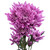 Lavender Cushion Chrysanthemum – Bulk Flower – Phoenix Arizona