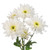 Cushion White Chrysanthemums – Bulk Flower Bunch – Phoenix Arizona