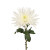 Spider White Chrysanthemums – Bulk Flower Bunch – Phoenix Arizona