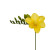 Freesia Yellow – Bulk Flower Bunch – Phoenix Arizona