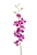 Hot Pink Dendrobium Orchid – Bulk Flower – Phoenix Arizona