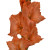 Gladiolus Orange – Bulk Flower Bunch – Phoenix Arizona