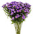 Monte Casino Aster Purple – Bulk Flower Bunch – Phoenix Arizona