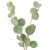 Eucalyptus Gumdrop – Bulk Greenery Bunch – Phoenix Arizona
