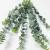 Eucalyptus Spiral – Bulk Greenery Bunch – Phoenix Arizona