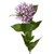 Lavender Bouvardia – Bulk Star-Shaped Flower Bunch – Phoenix Arizona