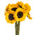 Large Dark Eye Sunflower – Bulk Flower – Phoenix Arizona