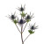 Blue Thistle Eryngium – Bulk Flower – Phoenix Arizona
