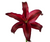 Burgundy Oriental Lily – Bulk Flower – Phoenix Arizona