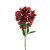 Red Dianthus – Bulk Flower – Phoenix Arizona