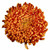 Bronze Football Chrysanthemum – bulk wholesale flowers Arizona Flower Market