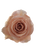 Moab Rose – Bulk Flower – Phoenix Arizona