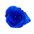 Dark Blue Tinted Rose – Bulk Flower – Phoenix Arizona