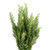 Rosemary – Bulk Foliage – Phoenix Arizona
