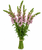 Bunch of lavender snapdragons